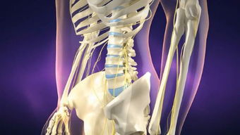 艺虎动画产品演示动画设计 工业产品动画的30元动漫方案